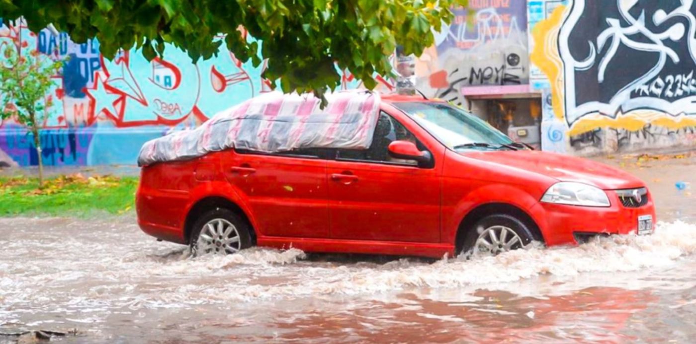 1524943463401.jpg?height=730&rotate=0&scaleX=1&scaleY=1&oh=998&x=50&y=195&width=1459&ow=1500&&cw=1920&ch=950