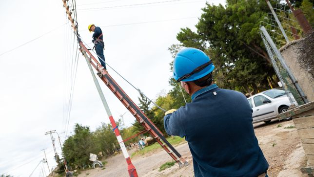 cayo una banda de nueve personas que se hacian pasar por empleados de movistar y robaban cables