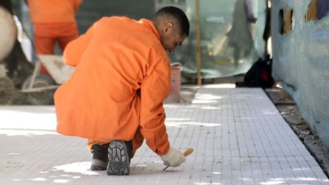 mas de 800 platenses recibiran baldosas gratis: ¿cuantos metros de vereda se construiran?