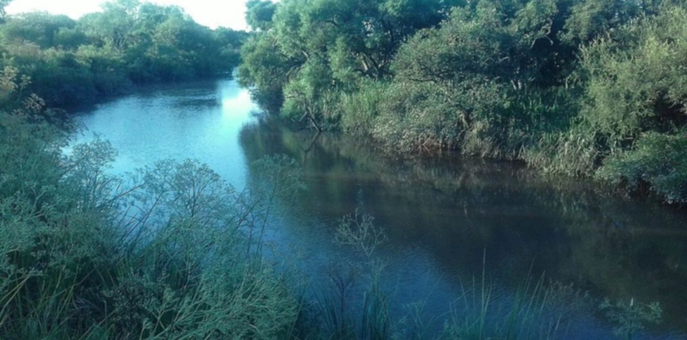 1600171069349.jpg?x=0&y=54&width=1024&height=512&rotate=0&scaleX=1&scaleY=1&ow=1024&oh=614&&cw=1920&ch=950