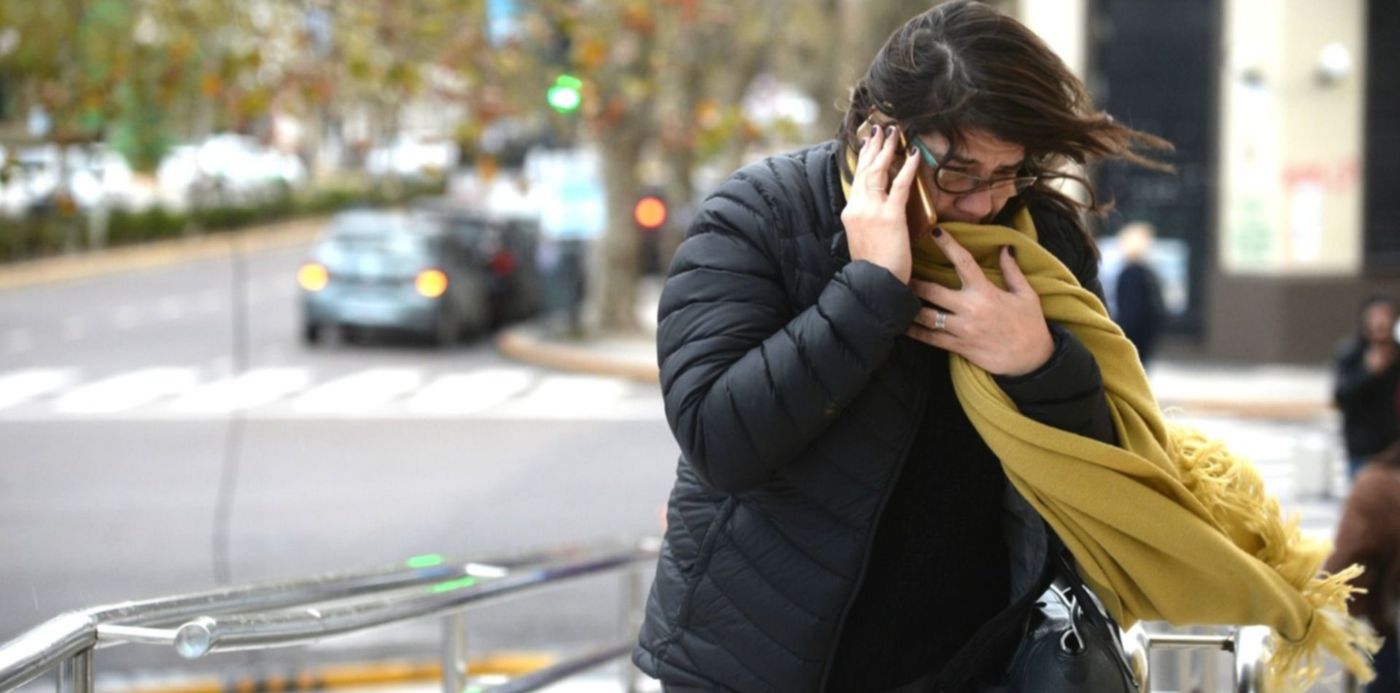 1577207282238.jpg?x=6&y=168&width=1487&height=744&rotate=0&scaleX=1&scaleY=1&ow=1500&oh=936&&cw=1920&ch=950