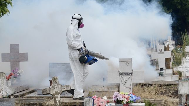 el numero que revela por que el cementerio es uno de los principales focos del dengue