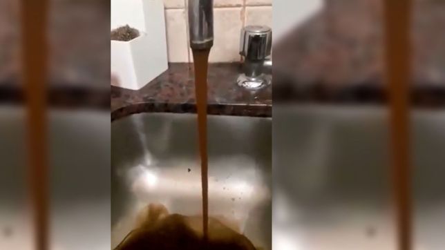 ¡un asco! el agua potable de un barrio de la plata sale como si fuese chocolatada