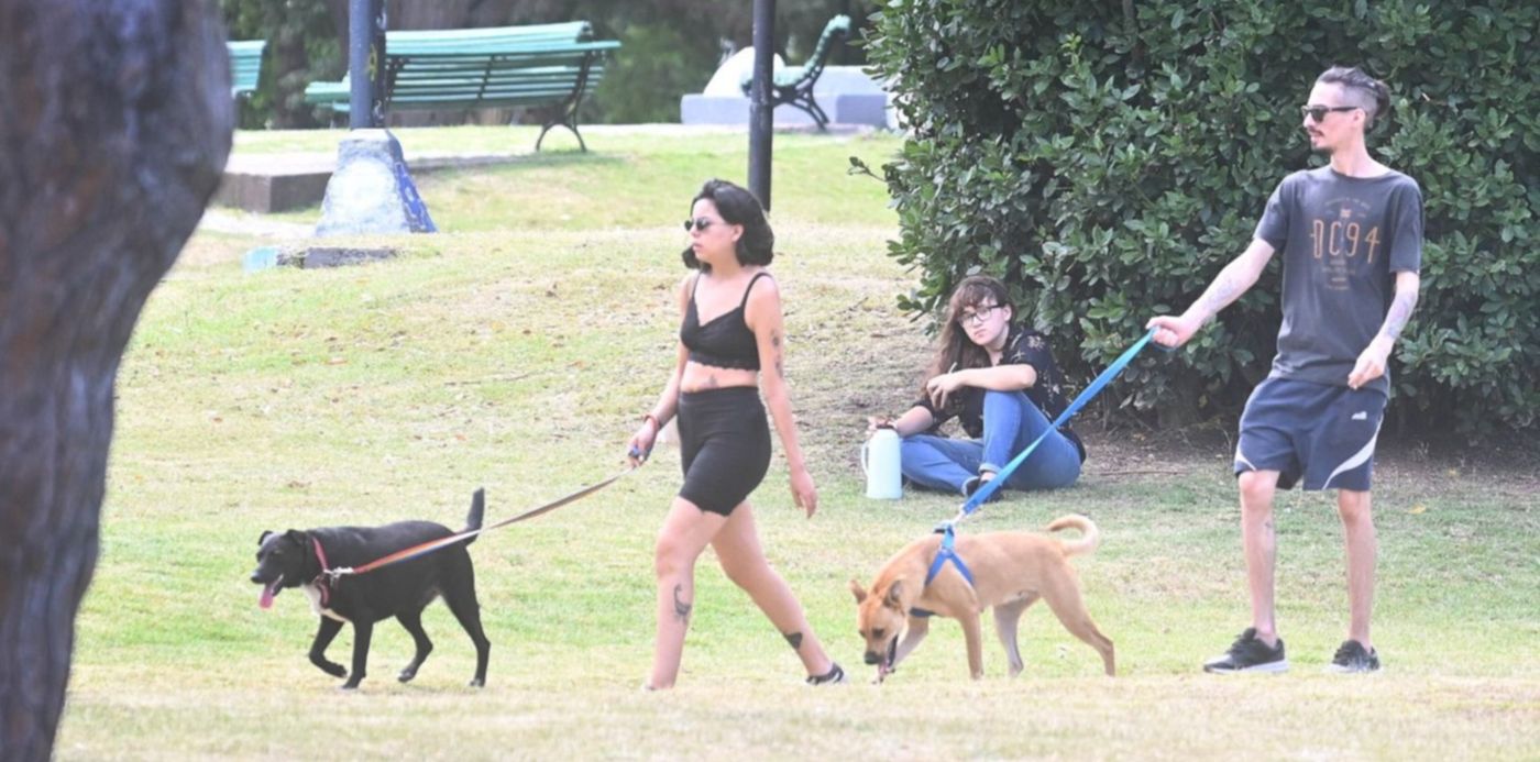 1640620295408.jpg?x= 14&y=236&width=1535&height=768&rotate=0&scaleX=1&scaleY=1&ow=1500&oh=1004&&cw=1920&ch=950