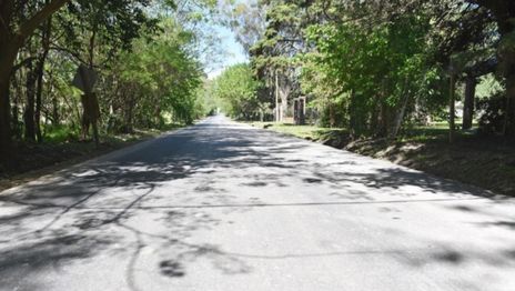 asfaltado calle 446 - los porteños - obras