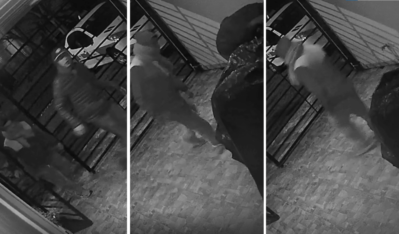 Diseño sin título (100).png