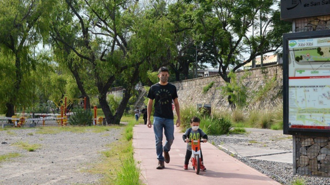 una infectologa que asesora al gobierno dijo que podrian admitirse salidas para los chicos