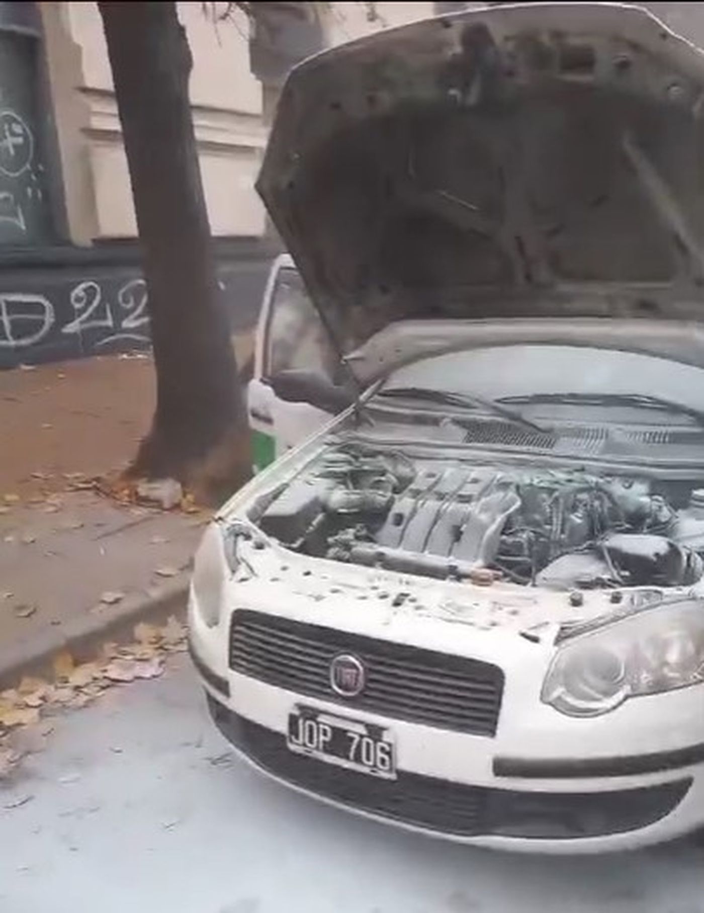 Captura de pantalla 2024-05-30 144021.jpg