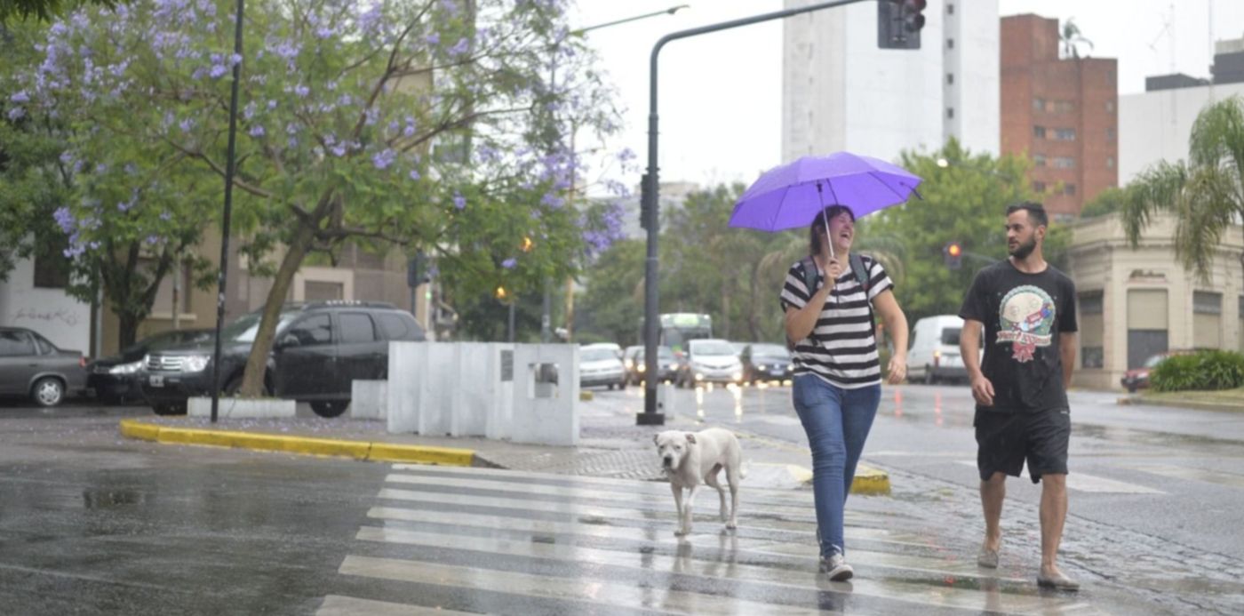 1547463032614.jpg?x=11&y=70&width=1472&height=736&rotate=0&scaleX=1&scaleY=1&ow=1500&oh=831&&cw=1920&ch=950