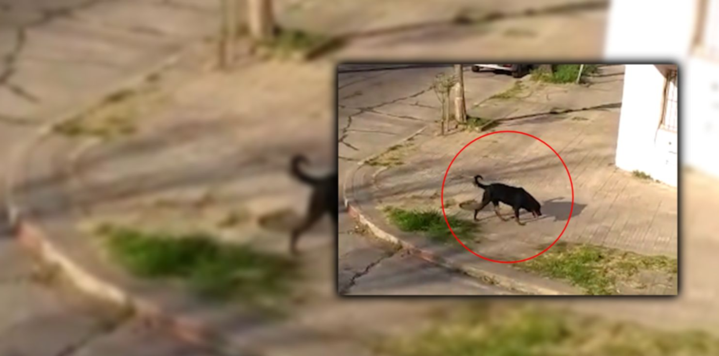 1662650268984.jpg?x=8&y=0&width=1484&height=742&rotate=0&scaleX=1&scaleY=1&ow=1500&oh=742&&cw=1920&ch=950