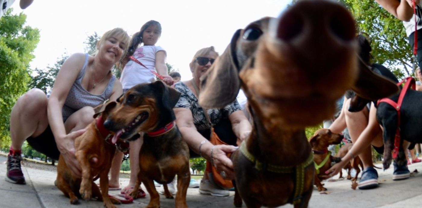 1549062793563.jpg?y=19&width=1484&rotate=0&scaleX=1&scaleY=1&ow=1500&oh=967&x=8&height=742&&cw=1920&ch=950