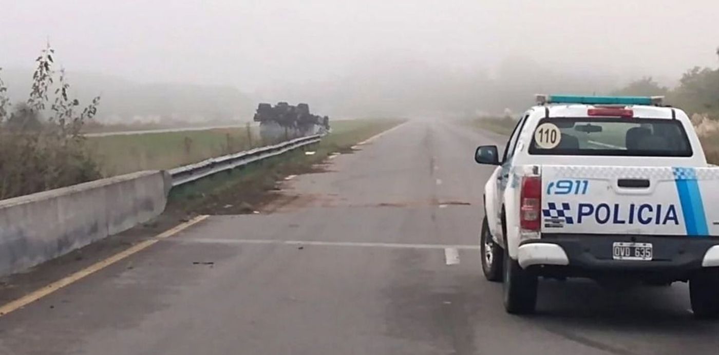 1648227804552.jpg?x=6&y=66&width=984&height=492&rotate=0&scaleX=1&scaleY=1&ow=992&oh=558&&cw=1920&ch=950