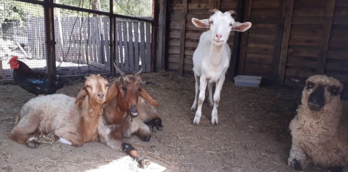 1553816530450.jpg?scaleY=1&oh=810&x=3&width=1069&scaleX=1&ow=1080&y=70&height=535&rotate=0&&cw=1920&ch=950