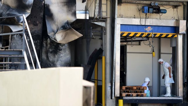 el frigorifico gorina desvinculo a trabajadores tercerizados y hay incertidumbre por el futuro de la empresa