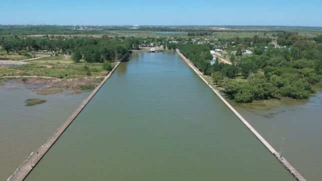 se redujo la presencia de algas en el rio y se puede tomar el agua de la red en la plata