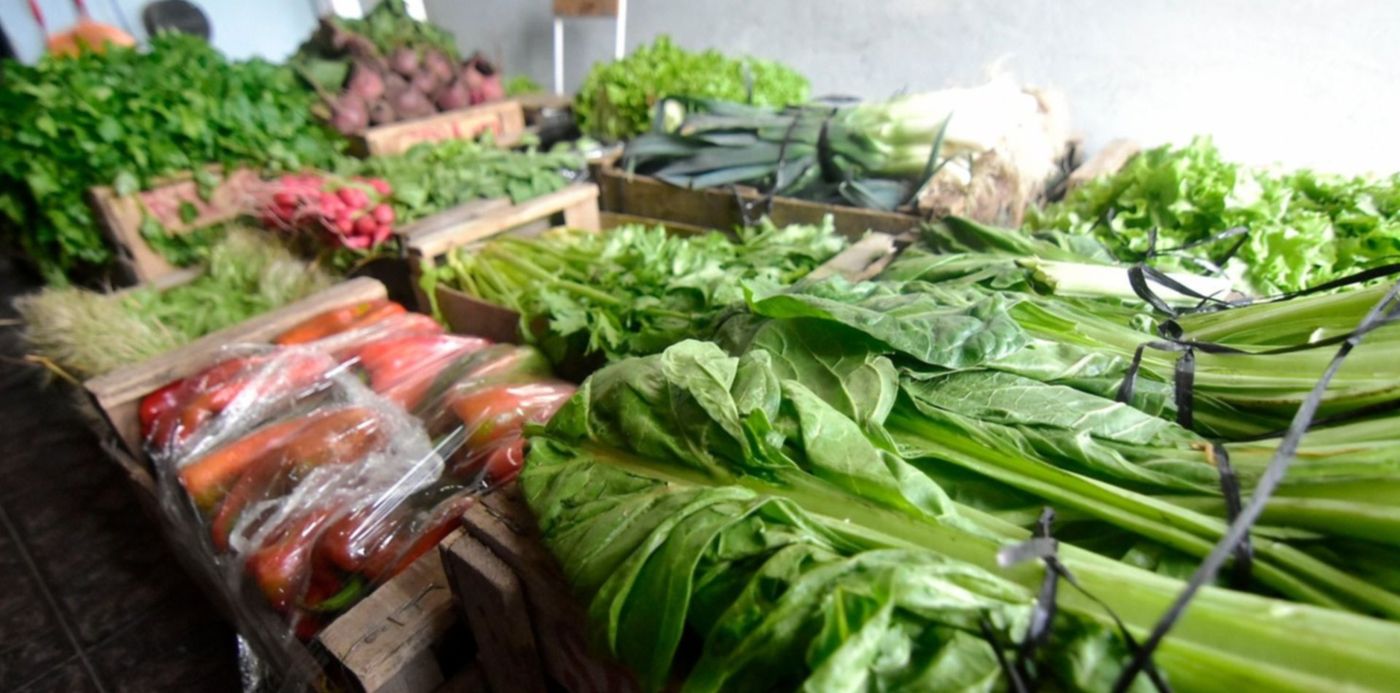 1587681184989.jpg?height=743&scaleX=1&ow=1500&x=7&width=1487&scaleY=1&oh=1001&y=87&rotate=0&&cw=1920&ch=950