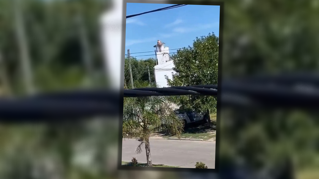 sorpresa y misterio por un hombre desnudo que intento meterse dentro de un tanque de agua