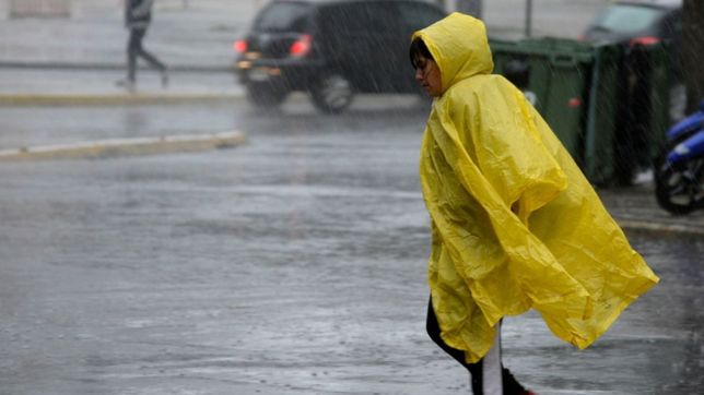 en la plata hubo rafagas de casi 60 km/h: ¿cuanto llovio y que barrio tuvo mas viento?