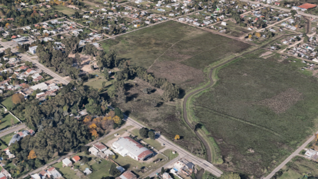 piedrazos, balas de goma y detenidos en el intento de toma de un gran predio de la plata
