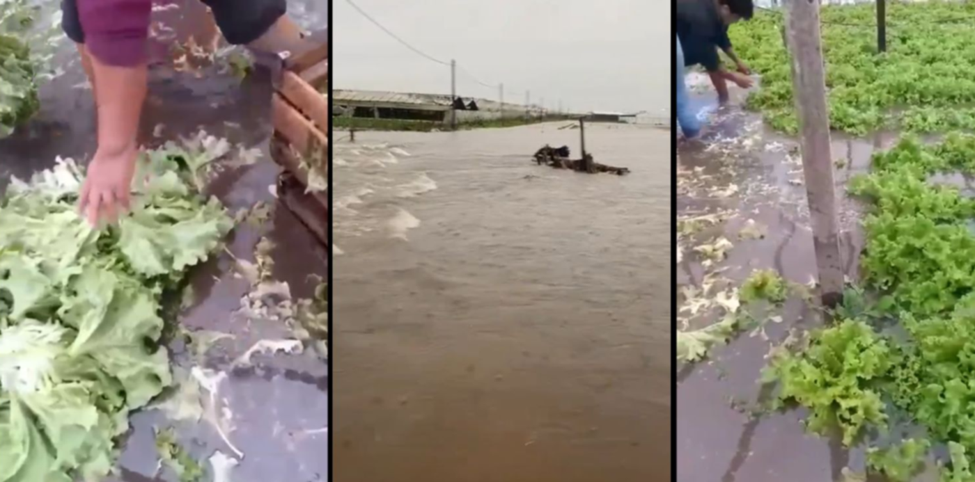 1692295369611.jpg?x=8&y=0&width=1484&height=742&rotate=0&scaleX=1&scaleY=1&ow=1500&oh=742&&cw=1920&ch=950