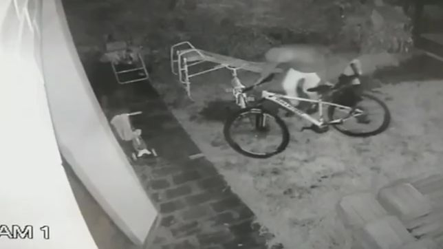 robaron bicicletas de una casa de la plata y buscan recuperarlas: se quien es la persona que las robo
