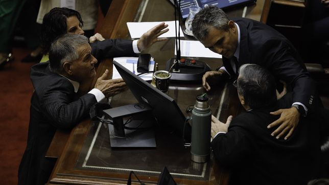 la sesion en diputados arranco con un escandalo y filtran un audio de menem pidiendo caos