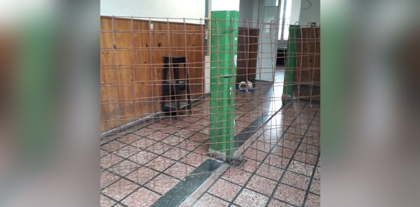 1572812966837.jpg?oh=950&x=2&height=723&rotate=0&scaleX=1&scaleY=1&y=144&width=1445&ow=1450&&cw=1920&ch=950