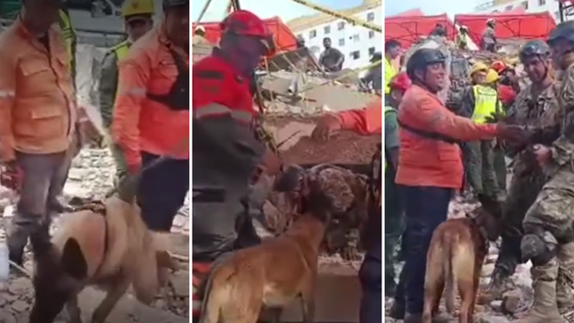 la mision humanitaria argentina rescato a dos menores entre los escombros del terremoto en venezuela