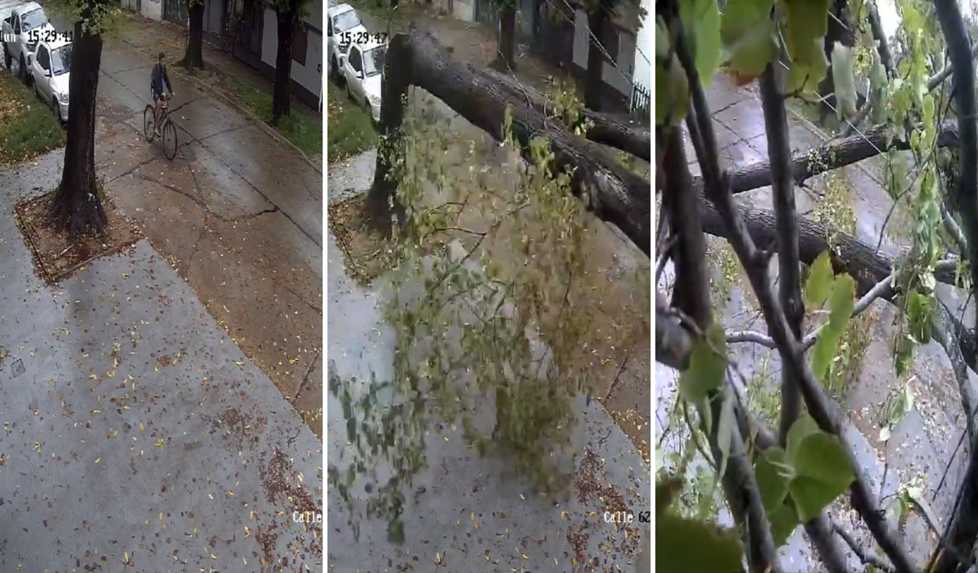 Diseño sin título (2).png