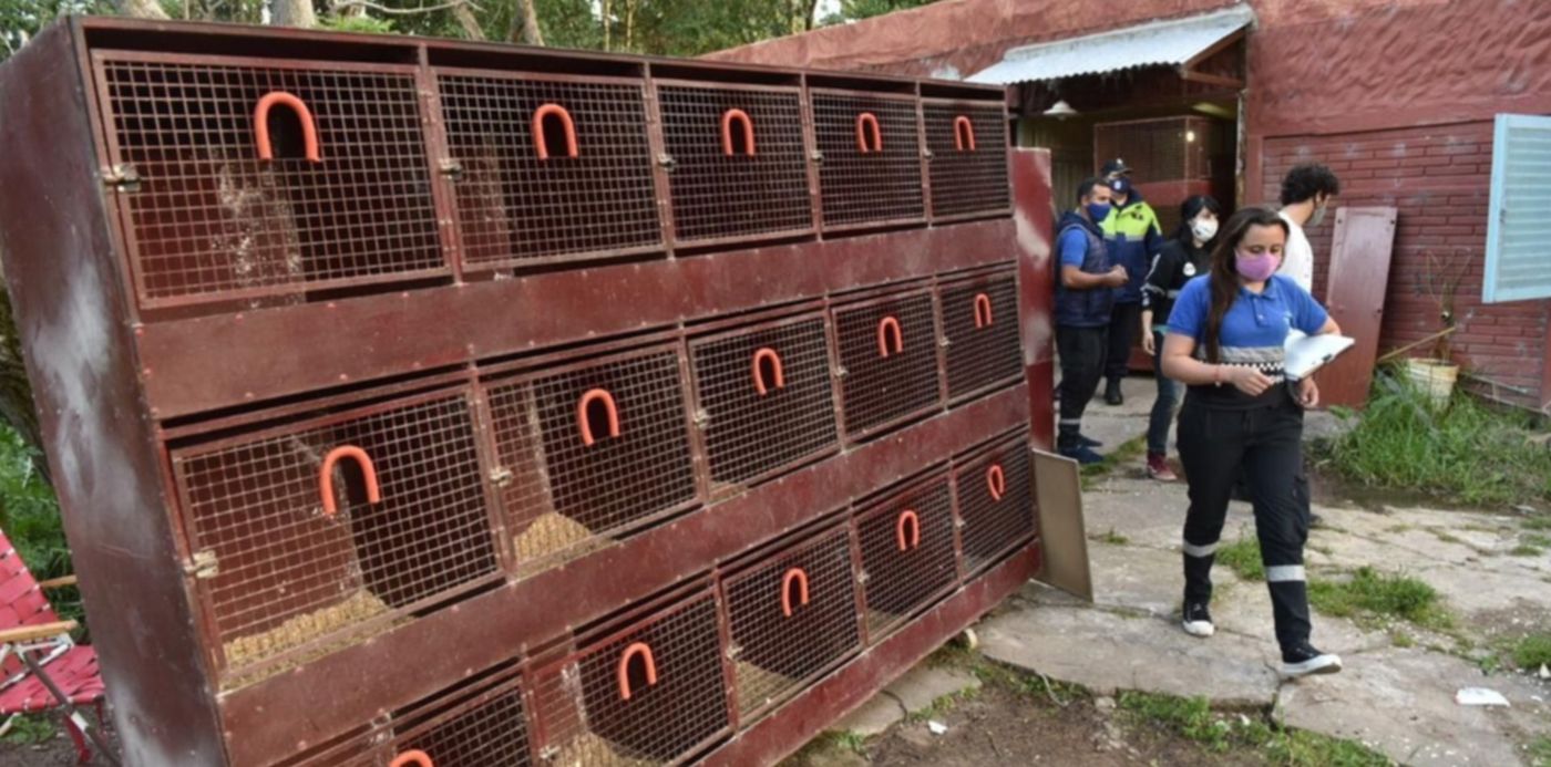 1603752086839.jpeg?x=3&y=91&width=1274&height=637&rotate=0&scaleX=1&scaleY=1&ow=1280&oh=853&&cw=1920&ch=950