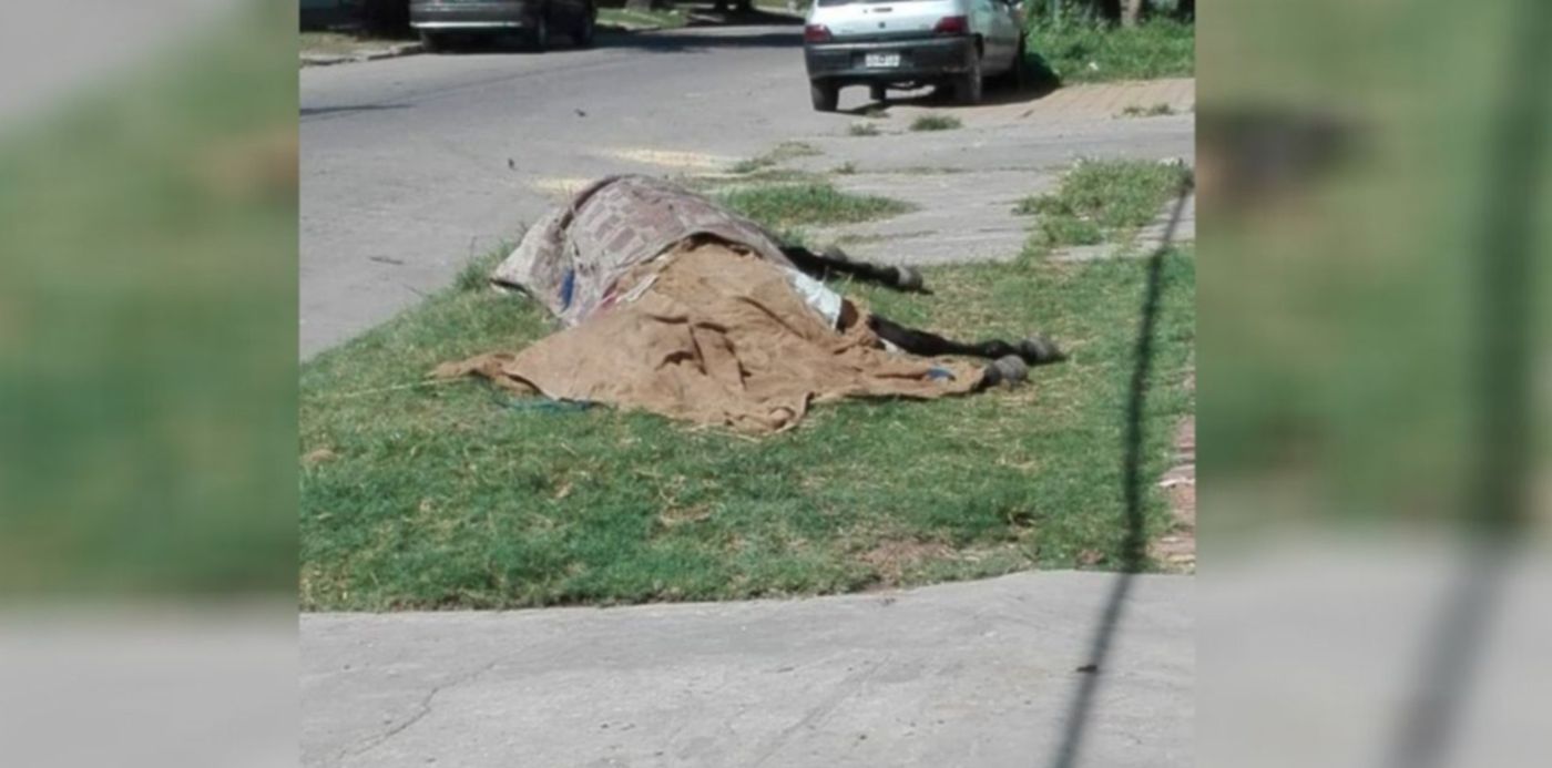 1610995776960.jpg?x=41&y=4&width=1259&height=629&rotate=0&scaleX=1&scaleY=1&ow=1350&oh=650&&cw=1920&ch=950