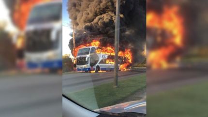 VIDEO: Así se prendió fuego un micro de dos pisos que venía a La Plata por avenida 44