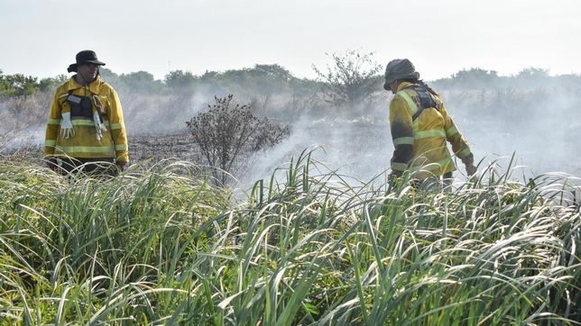 extinguieron focos de incendio en las reservas de punta lara y tornquist
