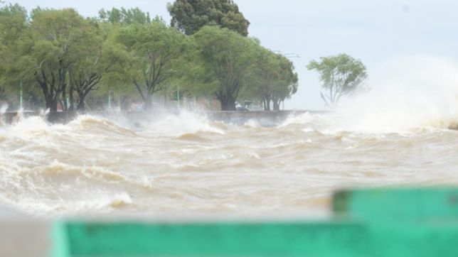 alerta por la crecida en el rio de la plata: el agua llego hasta los 3 metros