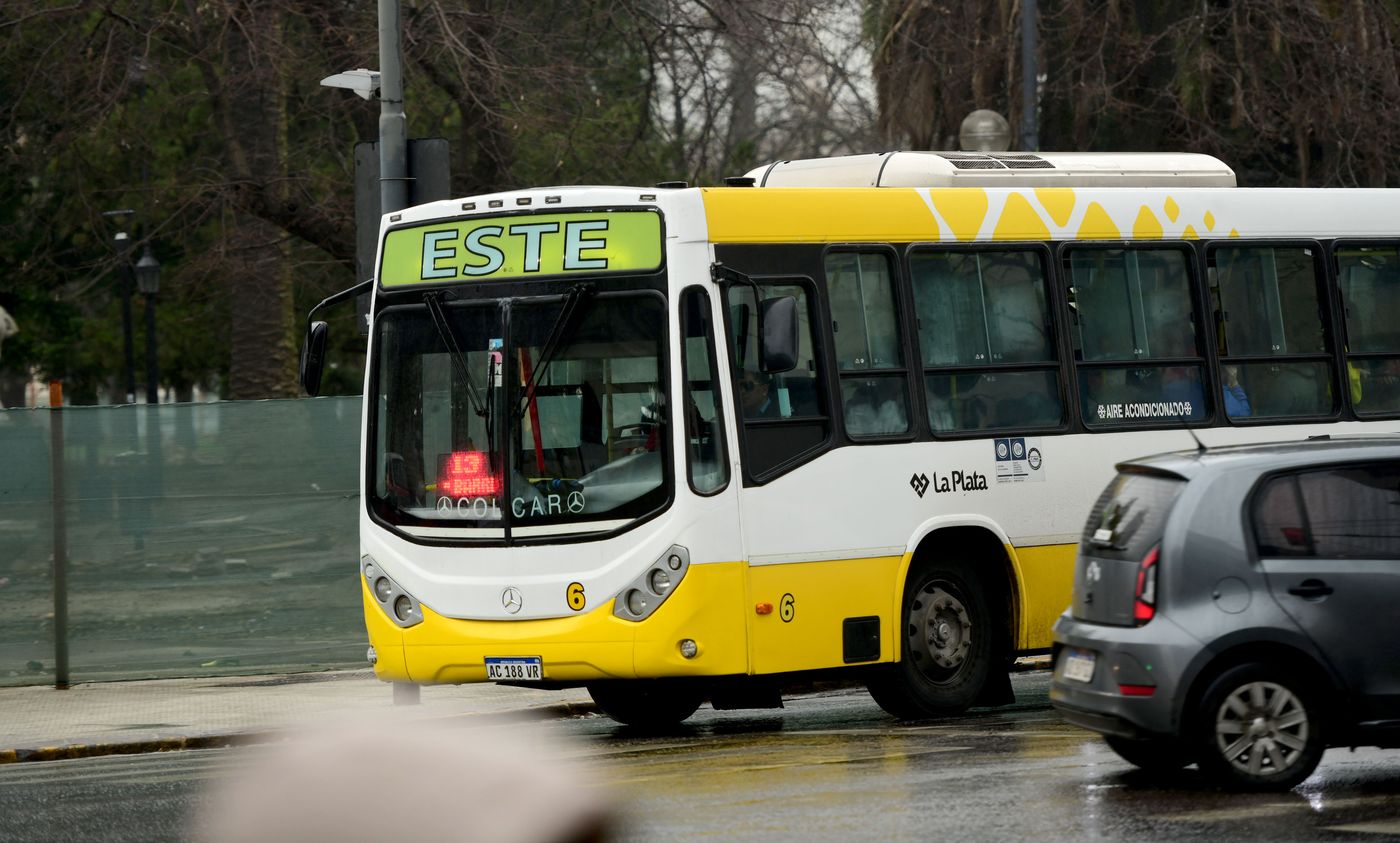 Micros colectivos (13).JPG