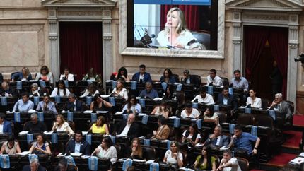 Moratoria previsional, hidrógeno verde y más: los proyectos que debatirán en Diputados