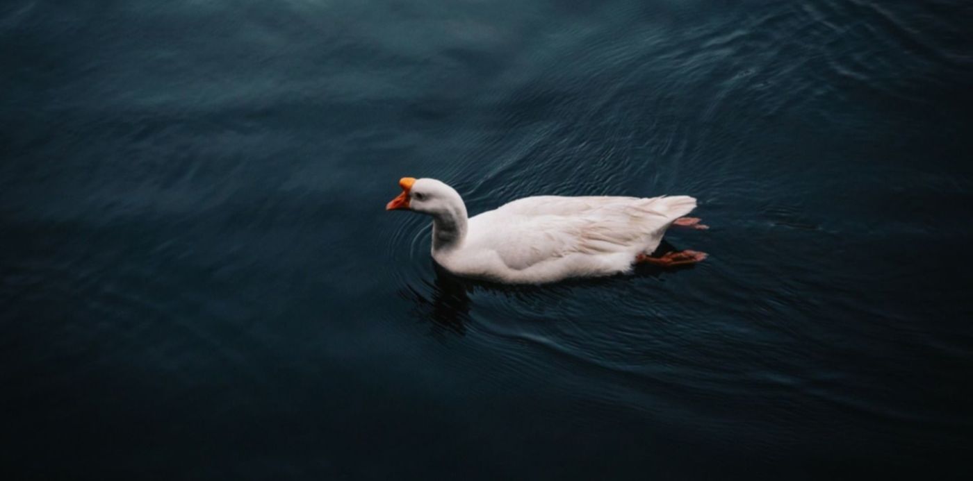 1579876645157.jpg?x=4&rotate=0&scaleY=1&oh=843&y=69&width=1492&height=746&scaleX=1&ow=1500&&cw=1920&ch=950