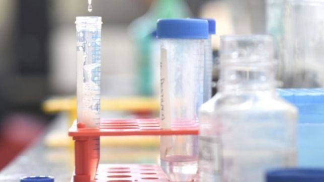 investigadores de la unlp comprueban el dano que causa una enfermedad rara en los rinones