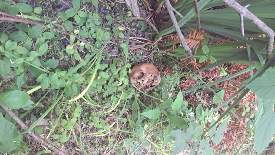 ¿Qué se sabe del macabro hallazgo de un esqueleto humano en el Club Regatas de Ensenada?