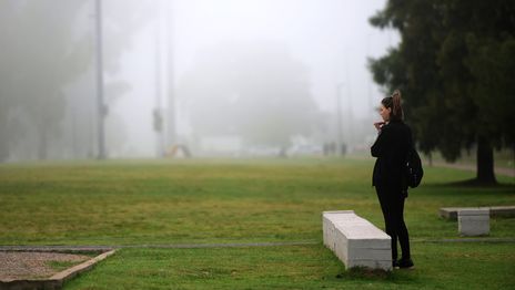 La Plata amaneció cubierta por la niebla y se espera un martes húmedo y con bajas temperaturas La Plata amaneció cubierta por la niebla y se espera un martes húmedo y con bajas temperaturas