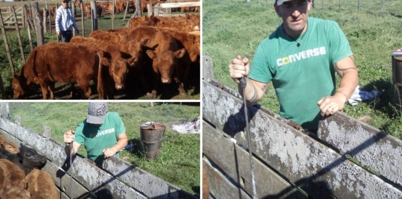 1541203361683.jpg?rotate=0&scaleY=1&oh=742&x=40&y=15&width=1420&height=710&scaleX=1&ow=1500&&cw=1920&ch=950