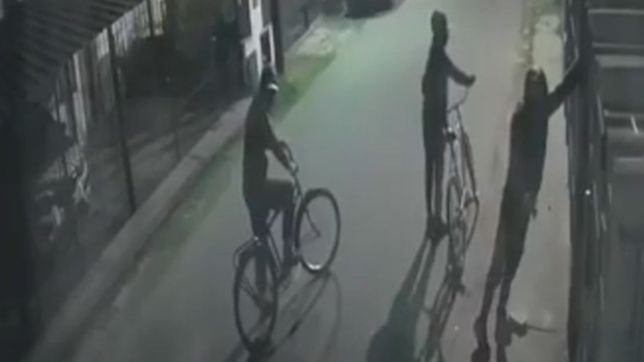 video: cuatro ladrones forzaron un porton, se metieron en una casa de la plata y robaron