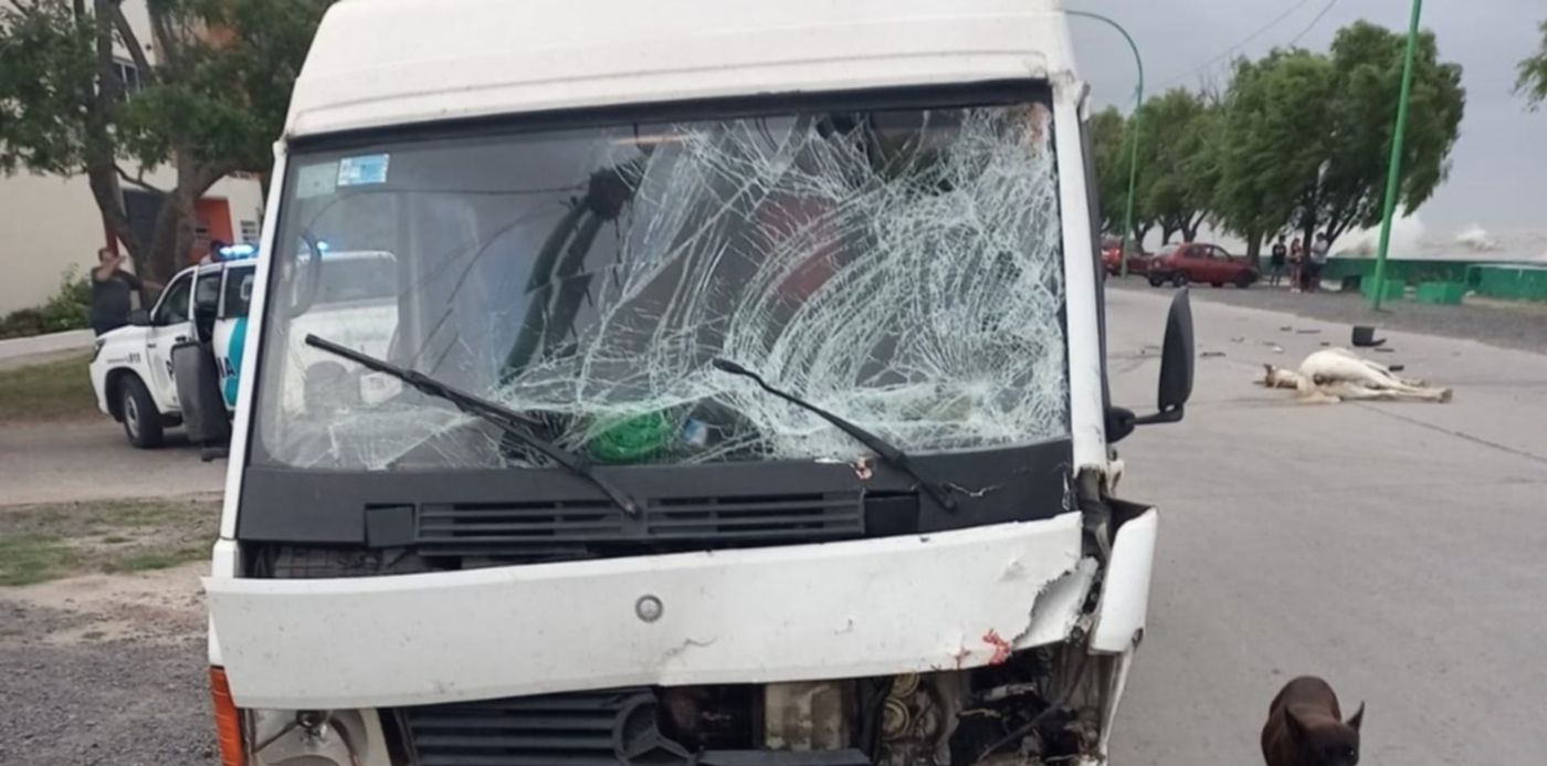 choque de camioneta y caballo