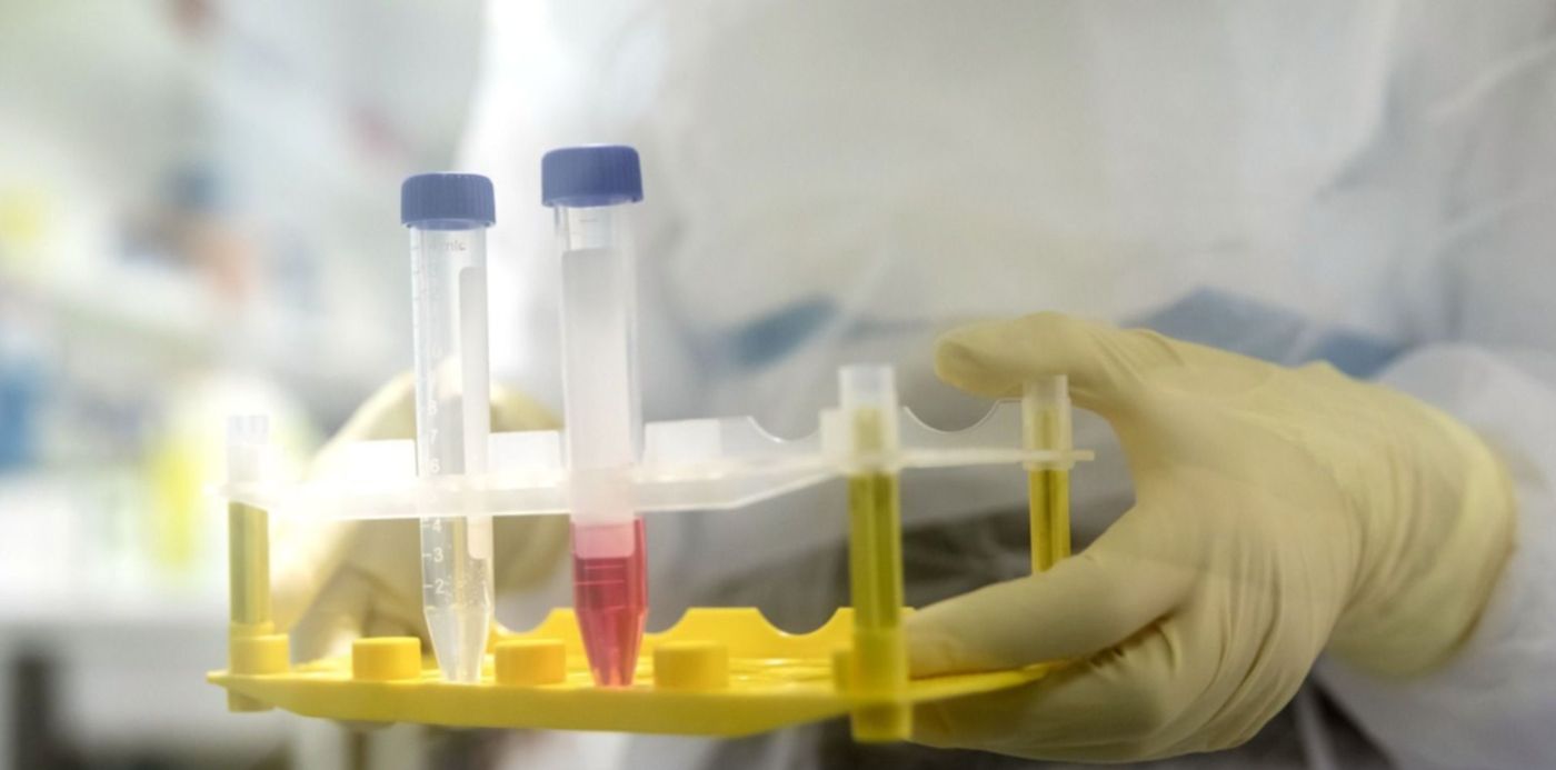 1585424741899.jpeg?x=3&y=20&scaleY=1&ow=1500&width=1490&height=745&rotate=0&scaleX=1&oh=1000&&cw=1920&ch=950