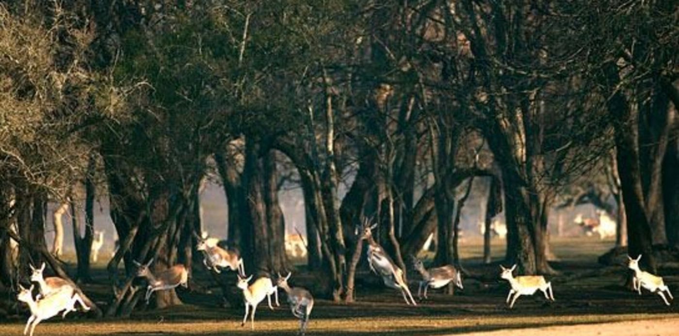 1564062983180.jpg?scaleX=1&scaleY=1&x=4&y=84&width=544&height=272&rotate=0&ow=550&oh=356&&cw=1920&ch=950