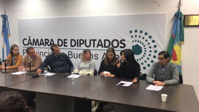 proponen crear un consejo interdisplinario para trabajar problematicas de la plata