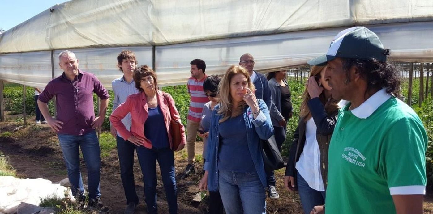 1540841259980.jpg?x=0&y=56&rotate=0&scaleX=1&oh=576&width=1021&height=511&scaleY=1&ow=1024&&cw=1920&ch=950