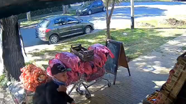 gritos, forcejeo y tension en medio de un violento robo en city bell que quedo filmado gritos, forcejeo y tension en medio de un violento robo en city bell que quedo filmado