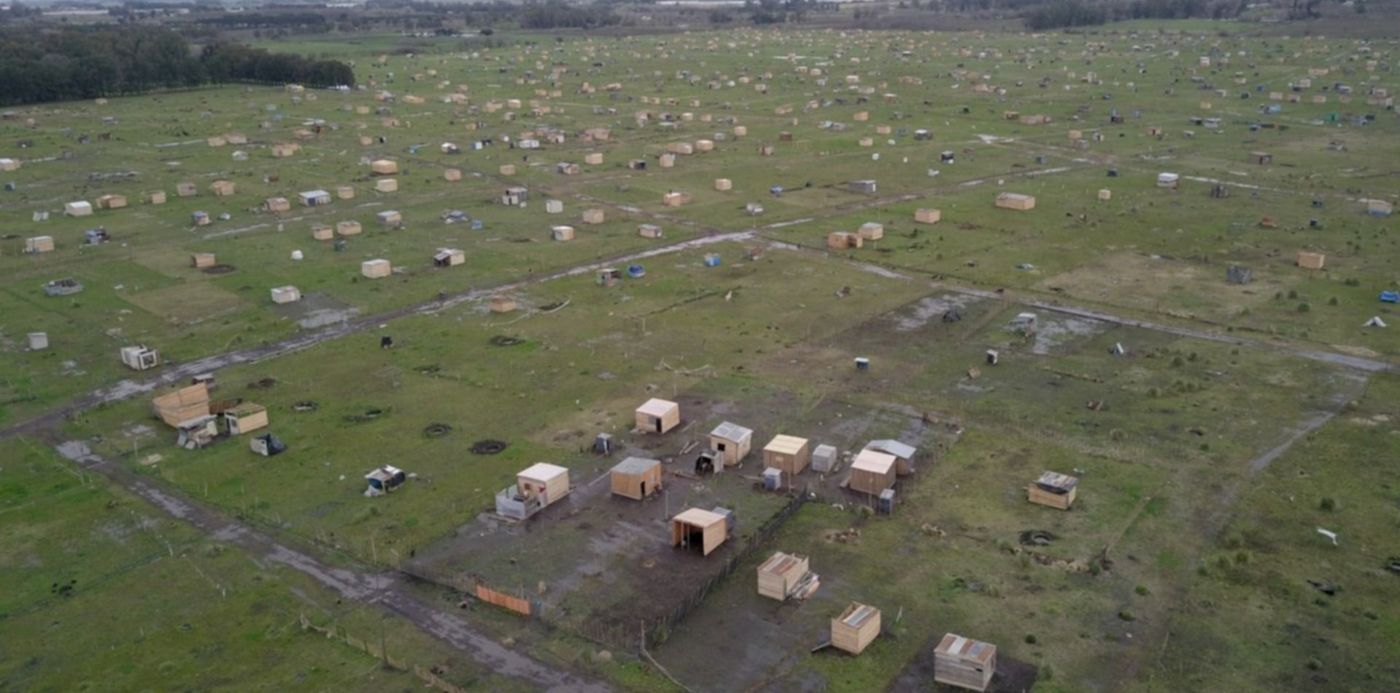 1604059420765.jpg?x=13&y=171&width=1449&height=724&rotate=0&scaleX=1&scaleY=1&ow=1500&oh=936&&cw=1920&ch=950