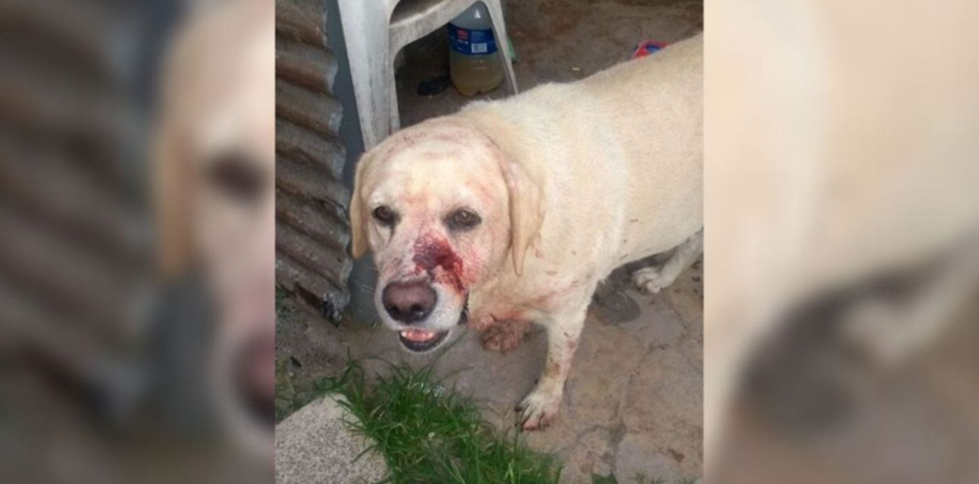 1582888155257.jpg?y=7&height=637&scaleX=1&scaleY=1&ow=1350&x=38&rotate=0&oh=650&width=1274&&cw=1920&ch=950